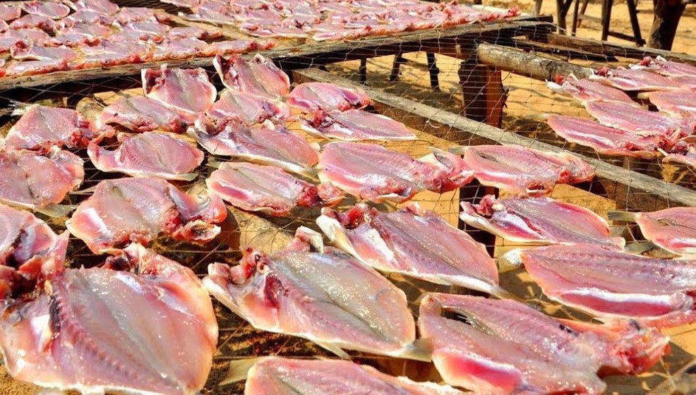 Sắc Tết nhen lên cùng nắng Xuân